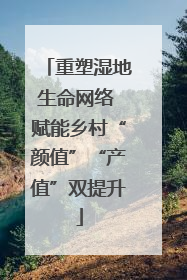 重塑湿地生命网络 赋能乡村“颜值”“产值”双提升