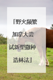 野火频繁 加拿大尝试新型撒种造林法