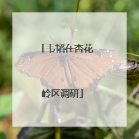韦韬在杏花岭区调研