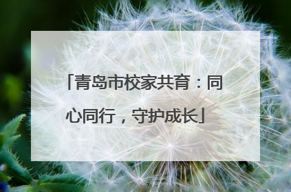 青岛市校家共育：同心同行，守护成长