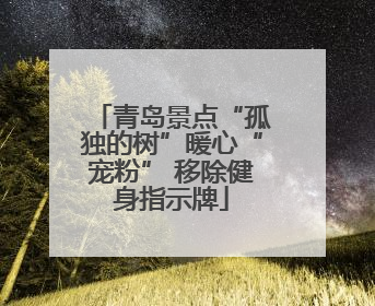 青岛景点“孤独的树”暖心“宠粉” 移除健身指示牌