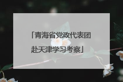 青海省党政代表团赴天津学习考察