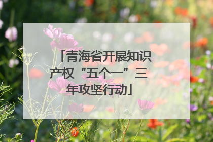 青海省开展知识产权“五个一”三年攻坚行动