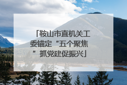 鞍山市直机关工委锚定“五个聚焦”抓党建促振兴
