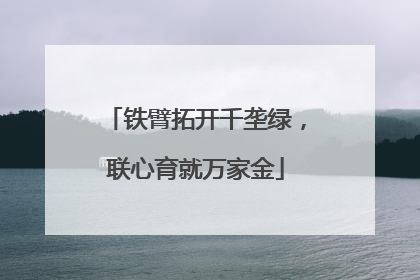 铁臂拓开千垄绿，联心育就万家金