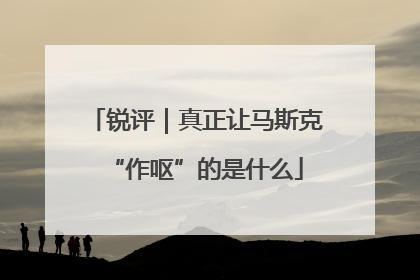 锐评｜真正让马斯克“作呕”的是什么