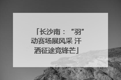 长沙南：“羽”动赛场展风采 汗洒征途竞锋芒