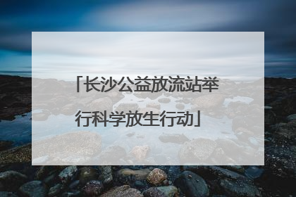 长沙公益放流站举行科学放生行动