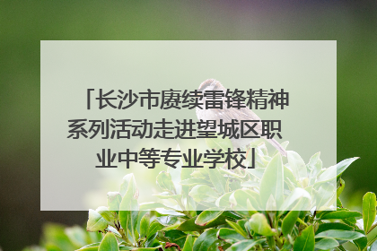 长沙市赓续雷锋精神系列活动走进望城区职业中等专业学校