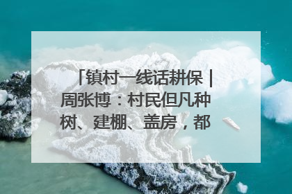 镇村一线话耕保｜周张博：村民但凡种树、建棚、盖房，都要向街道报批