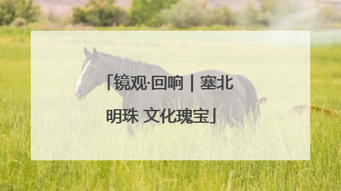 镜观·回响｜塞北明珠 文化瑰宝