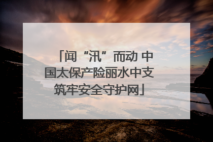 闻“汛”而动 中国太保产险丽水中支筑牢安全守护网