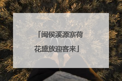 闽侯溪源寨荷花盛放迎客来