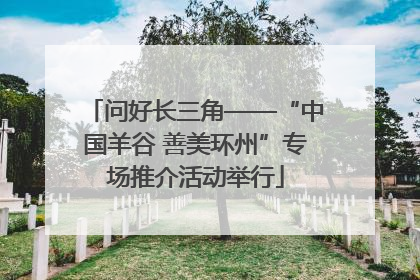 问好长三角——“中国羊谷 善美环州”专场推介活动举行