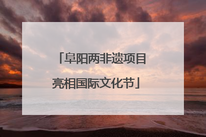阜阳两非遗项目亮相国际文化节