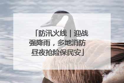 防汛火线｜迎战强降雨，多地消防昼夜抢险保民安