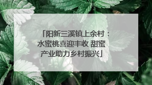 阳新三溪镇上余村：水蜜桃喜迎丰收 甜蜜产业助力乡村振兴