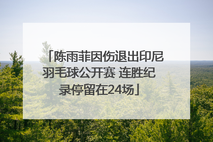 陈雨菲因伤退出印尼羽毛球公开赛 连胜纪录停留在24场