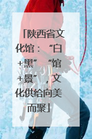 陕西省文化馆：“白+黑”“馆+景”，文化供给向美而聚