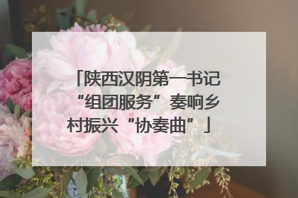 陕西汉阴第一书记“组团服务”奏响乡村振兴“协奏曲”