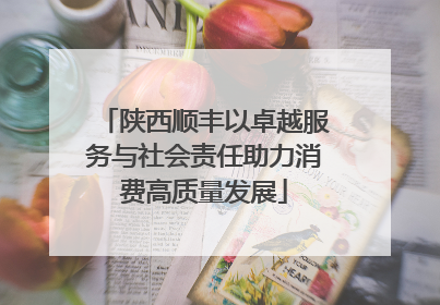 陕西顺丰以卓越服务与社会责任助力消费高质量发展