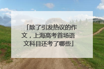 除了引发热议的作文，上海高考首场语文科目还考了哪些