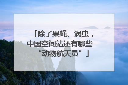 除了果蝇、涡虫，中国空间站还有哪些“动物航天员”