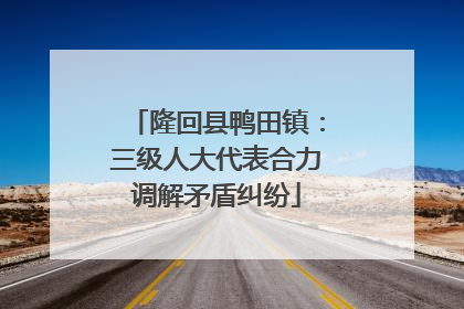 隆回县鸭田镇：三级人大代表合力调解矛盾纠纷