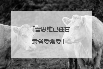 雷思维已任甘肃省委常委