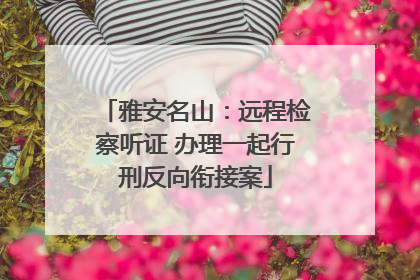 雅安名山：远程检察听证 办理一起行刑反向衔接案