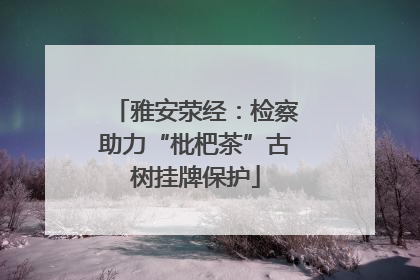 雅安荥经：检察助力“枇杷茶”古树挂牌保护