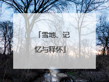 雪地、记忆与释怀