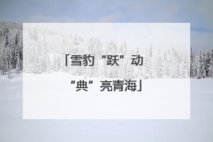 雪豹“跃”动 “典”亮青海