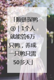 顺链探鸭③｜1个人就能管6万只鸭，养成一只鸭只需50多天