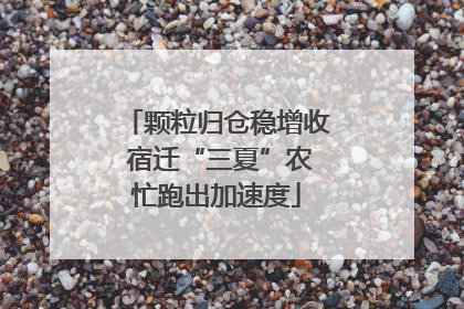 颗粒归仓稳增收 宿迁“三夏”农忙跑出加速度
