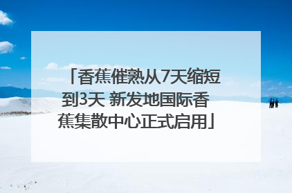 香蕉催熟从7天缩短到3天 新发地国际香蕉集散中心正式启用