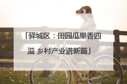 驿城区：田园瓜果香四溢 乡村产业谱新篇