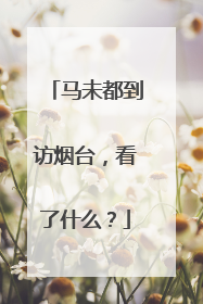 马未都到访烟台，看了什么？