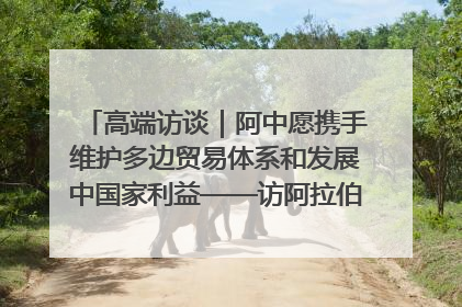 高端访谈｜阿中愿携手维护多边贸易体系和发展中国家利益——访阿拉伯议会议长亚马希