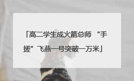 高二学生成火箭总师 “手搓”飞燕一号突破一万米