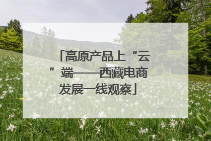高原产品上“云”端——西藏电商发展一线观察