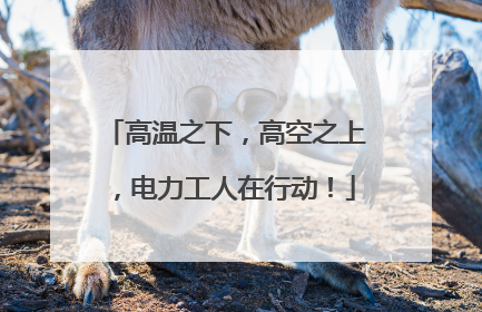高温之下，高空之上，电力工人在行动！