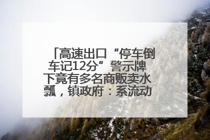 高速出口“停车倒车记12分”警示牌下竟有多名商贩卖水瓢，镇政府：系流动摊位，已多次劝离