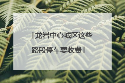 龙岩中心城区这些路段停车要收费