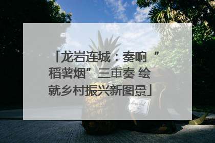 龙岩连城：奏响“稻薯烟”三重奏 绘就乡村振兴新图景