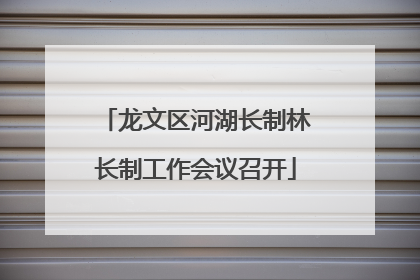 龙文区河湖长制林长制工作会议召开