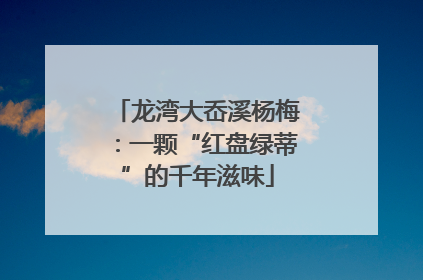 龙湾大岙溪杨梅：一颗“红盘绿蒂”的千年滋味