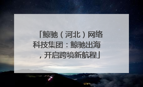 鲸驰（河北）网络科技集团：鲸驰出海，开启跨境新航程
