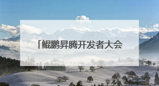 鲲鹏昇腾开发者大会2025在北京举办：鲲鹏、昇腾已发展开发者超665万