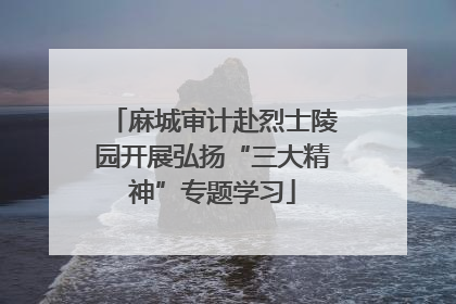 麻城审计赴烈士陵园开展弘扬“三大精神”专题学习